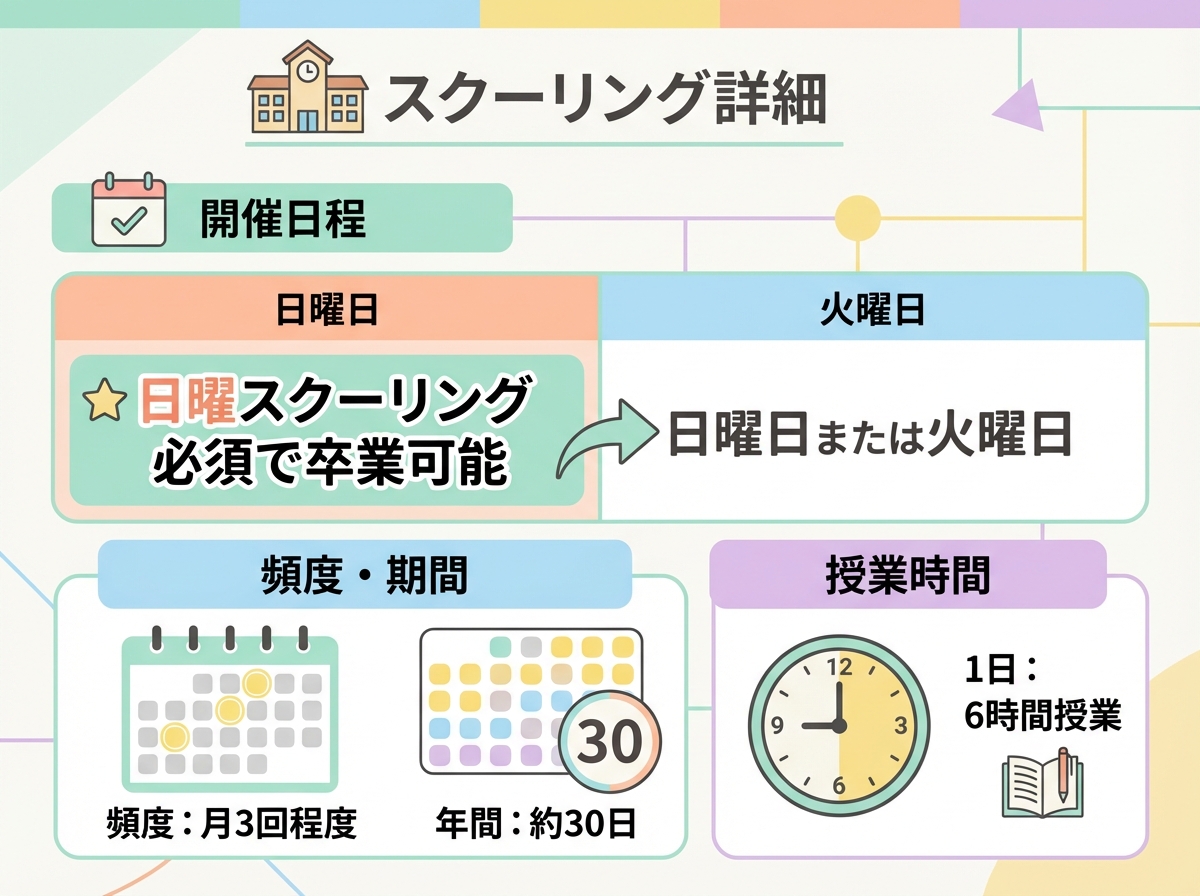 スクーリングの詳細を説明するインフォグラフィック。開催日は日曜日または火曜日、頻度は月3回程度、年間約30日、1日6時間授業という情報がカレンダーと時計アイコンとともに示され、日曜スクーリング必須で卒業可能と強調されている