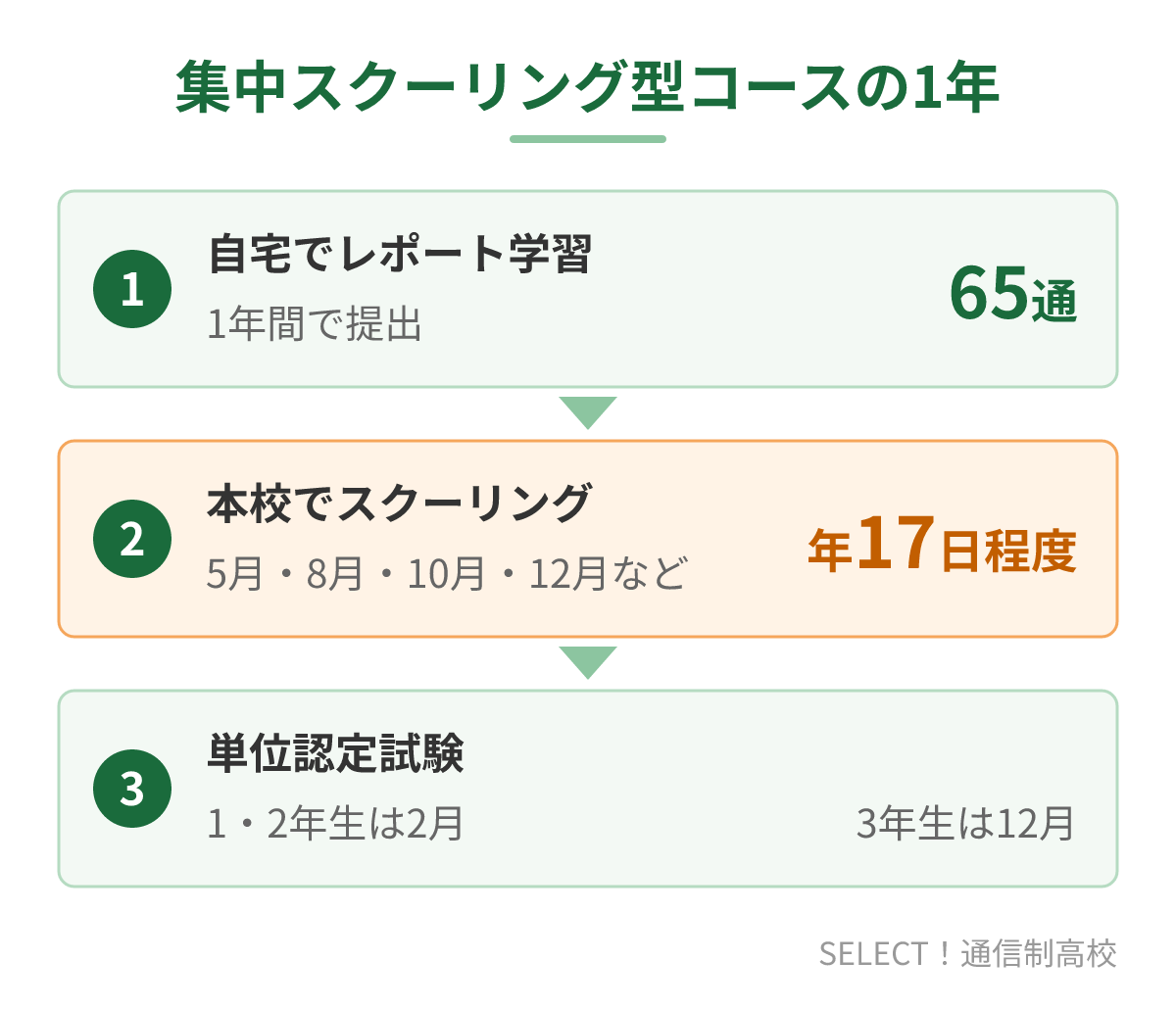集中スクーリング型コースの1年の流れ